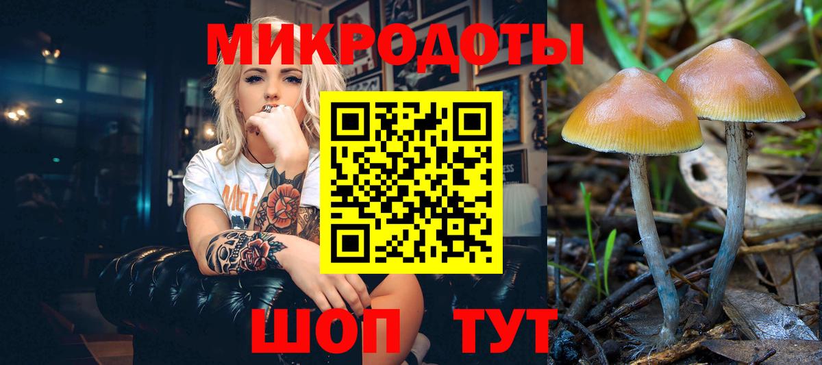 Галлюциногенные грибы прущие грибы Южно-Сахалинск