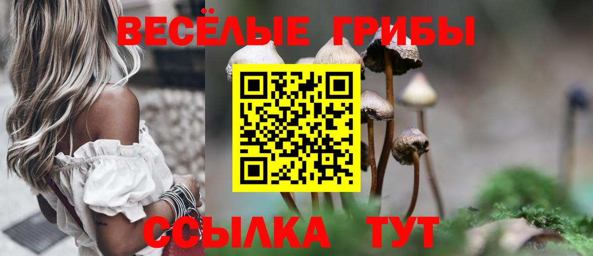 Южно-Сахалинск  Псилоцибиновые грибы прущие грибы  Псилоцибиновые грибы мицелий  где можно купить наркотик  Вход с VPN 